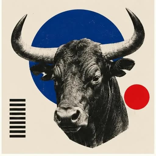 Toro